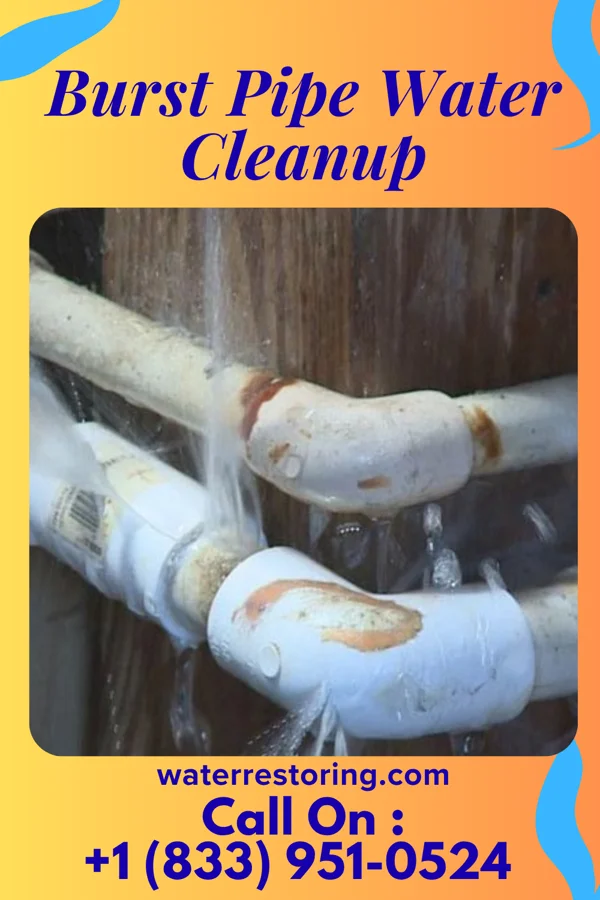 Burst Pipe Water Cleanup in Jeffersonville, IL