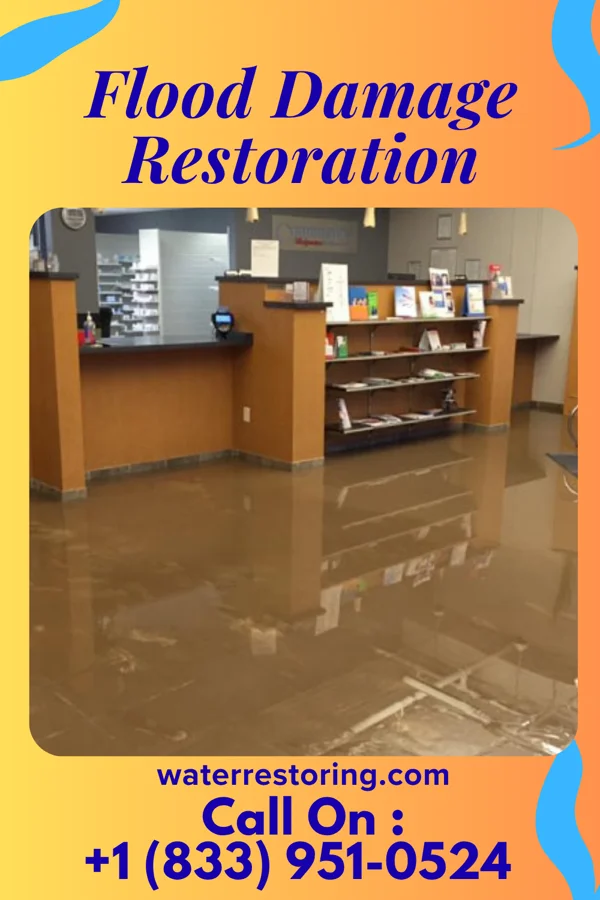 Flood Damage Restoration in Jeffersonville, IL